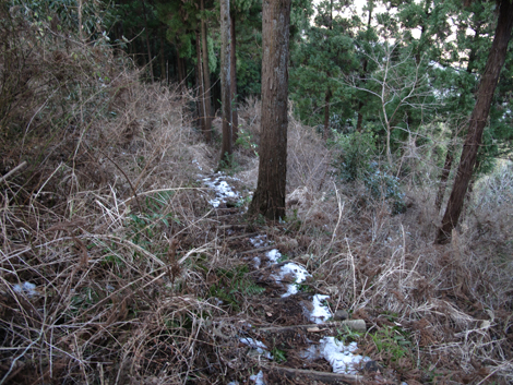 20160128hike (380)